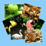 darmowe tapety i bezpłatne autorskie zdjęcia na twój pulpit, zmień tapetę już dziś!